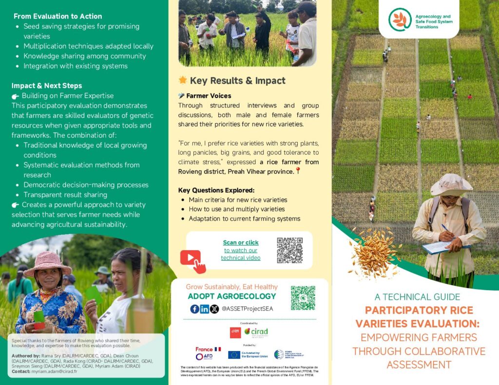 Participatory Rice Varieties Evaluation: Empowering Farmers Through Collaborative Assessment